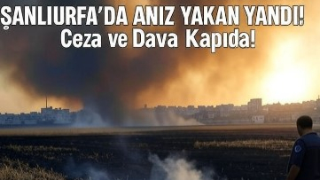 Şanlıurfa'da Anız Yakan Yandı!