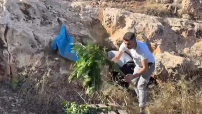 Şanlıurfa’da Zehir Mağarası!