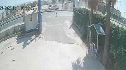 Şanlıurfa'da sokak köpeği zincirleme kazaya neden oldu !