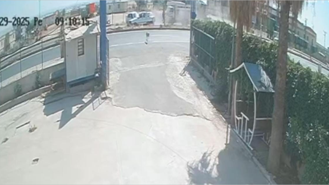 Şanlıurfa'da sokak köpeği zincirleme kazaya neden oldu !