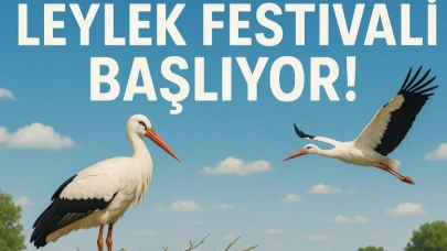 Leylek Festivali Başlıyor!
