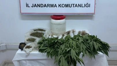Suruç'ta Uyuşturucu Operasyonu: Evden Kenevir Tarlası Çıktı!