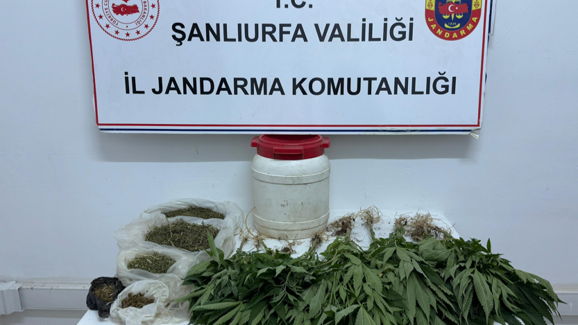 Suruç'ta Uyuşturucu Operasyonu !