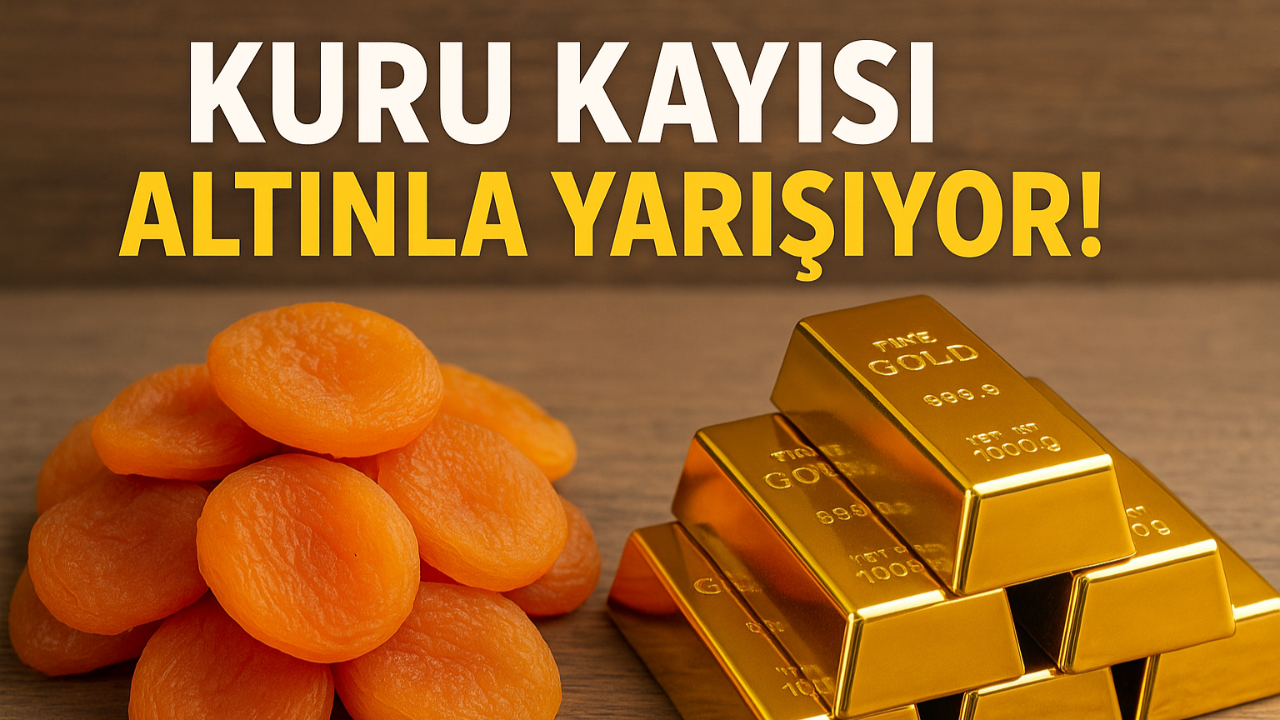 Kuru Kayısı Altınla Yarışıyor!