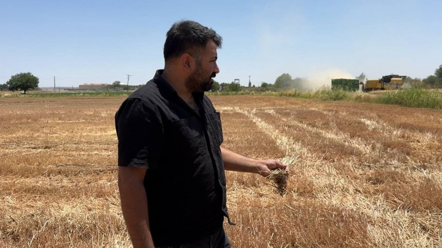 Toprak Ölüyor! Uzmanlar ve Çiftçilerden Anız Yakma Tepkisi
