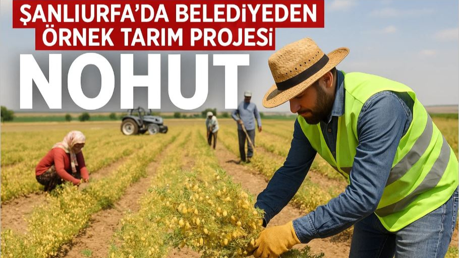 Şanlıurfa’da Belediyeden Örnek Tarım Projesi!