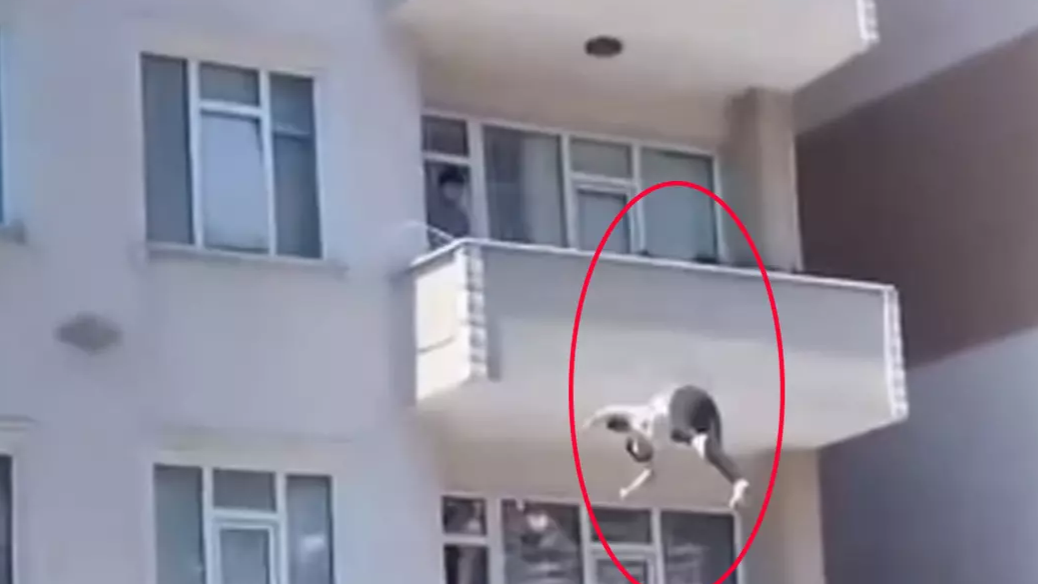 Kocaeli’de İntihar Girişimi:Ağır Yaralandı