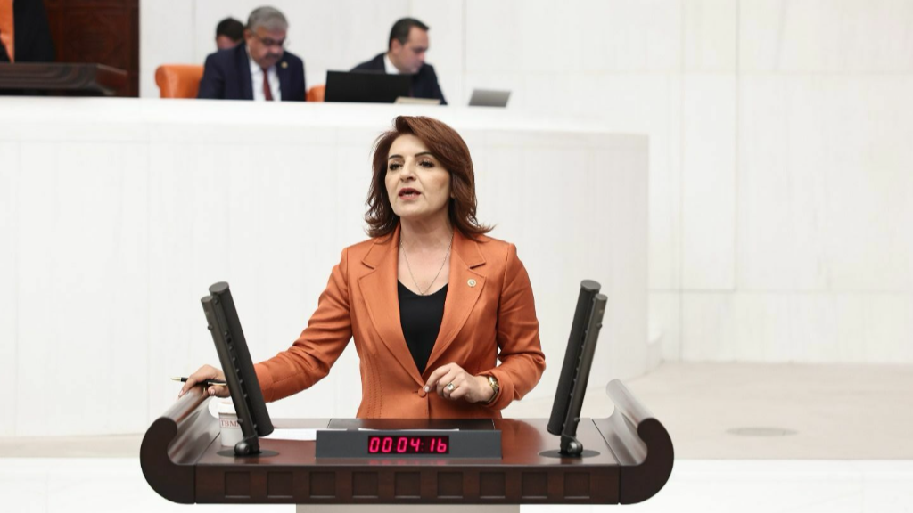 Gülcan Kış: Her 4 Kişiden Biri İcralık