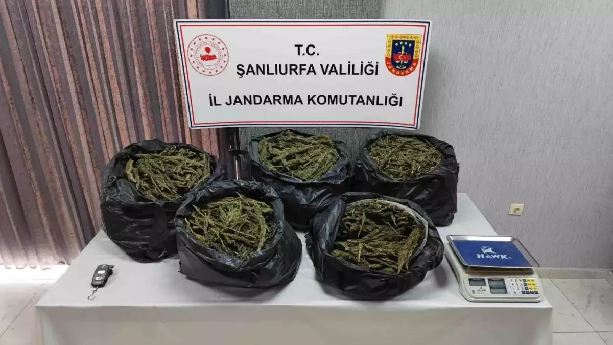 Şanlıurfa’da Uyuşturucu ve Silah Operasyonu:2 Tutuklama