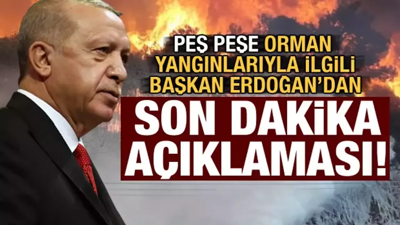 Erdoğan’dan Yangınlarla İlgili Net Mesaj