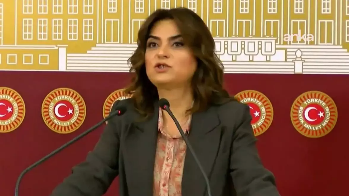 "DEM Partili Koçyiğit: Sürecin İsminden Rahatsızız"