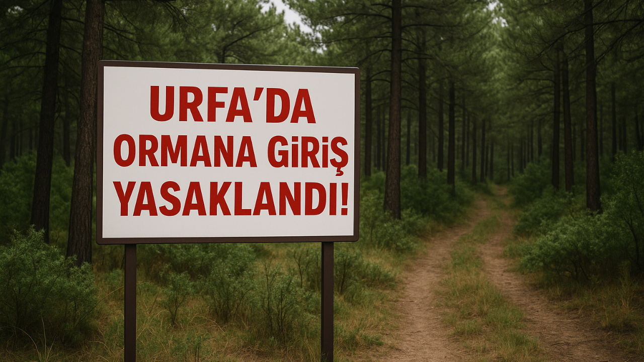 Şanlıurfa’da Ormanlara Giriş Yasaklandı!