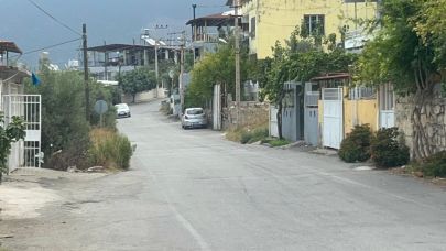 Dayısını Katletti, Sokakta İntihar Etti!