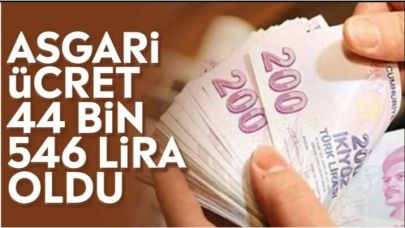 Yeni Asgari Ücret Net 44 bin 546 TL Oldu!