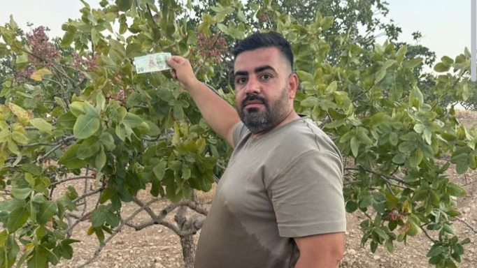 Fıstık İçin 20 TL Bıraktı, Tepkiler İkiye Bölündü!