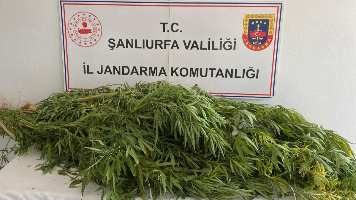 Şanlıurfa’da Uyuşturucu Baskınında 2 Şüpheli Yakalandı