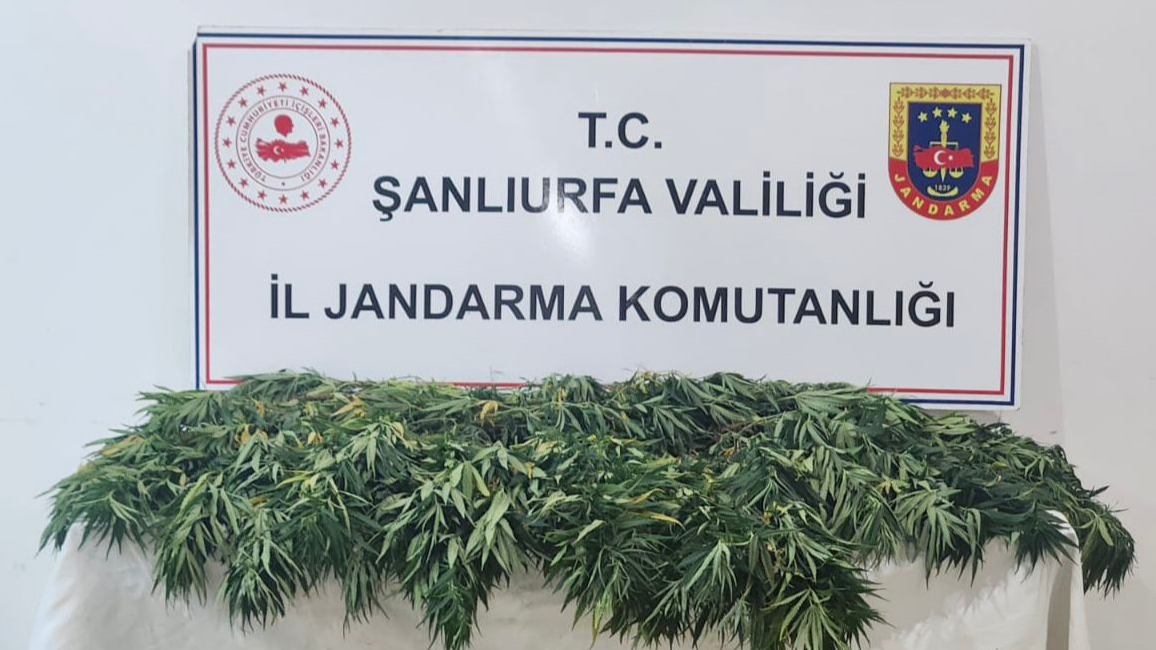 Şanlıurfa’da Uyuşturucu Operasyonu:2 Şüpheli Yakalandı