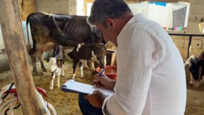 Şanlıurfa’da Şap Seferberliği: Pazarlar Kapatıldı!