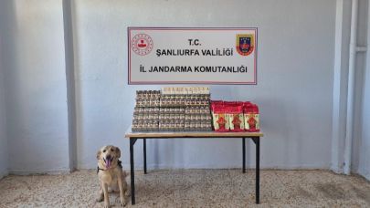 Şanlıurfa’da Kaçak Tütün ve Alkol Operasyonu