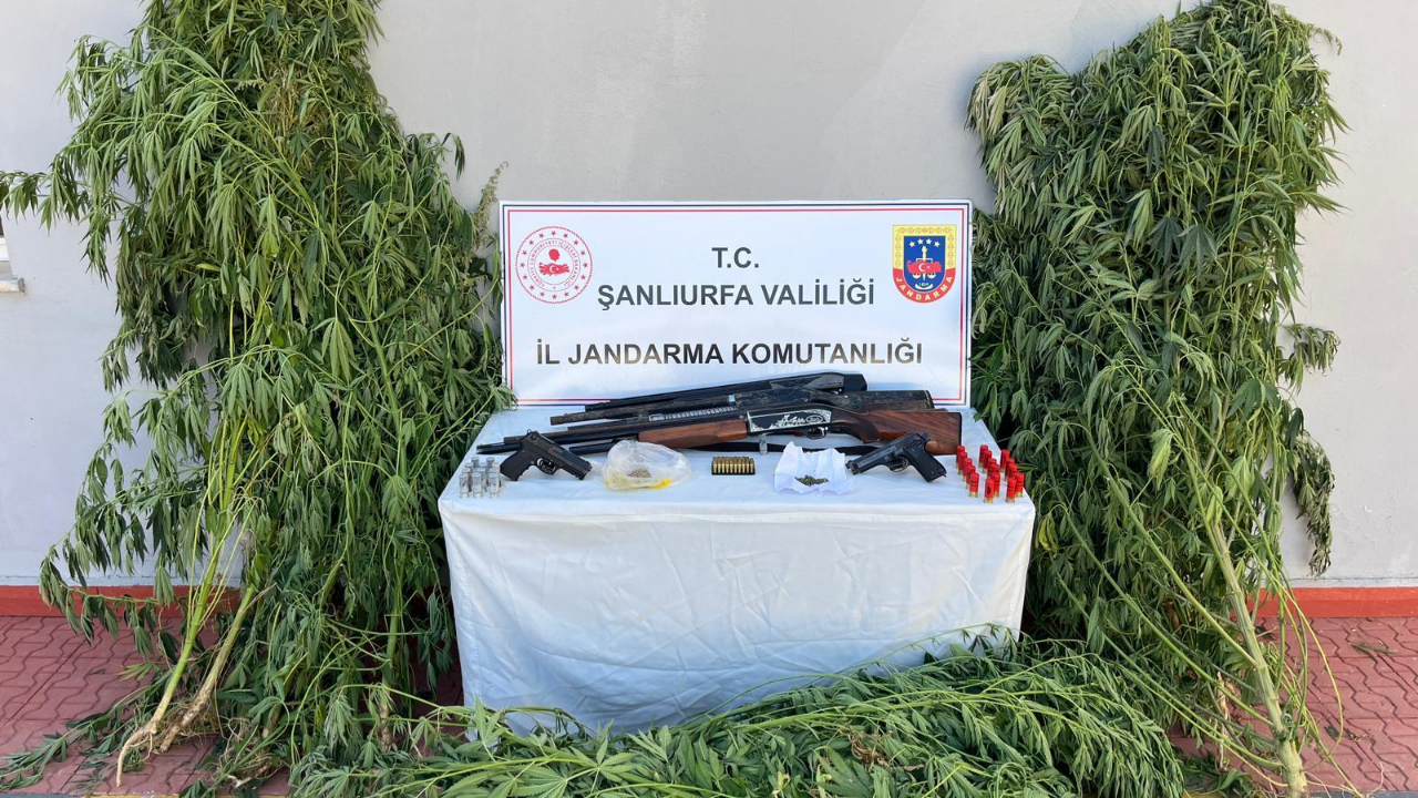 Şanlıurfa’da Jandarmadan Uyuşturucu Operasyonu: 6 Gözaltı