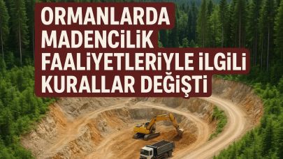 Ormanlarda Madencilik Faaliyetleriyle İlgili Kurallar Değişti