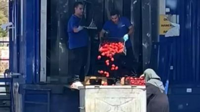 Zincir Market Domatesleri Çöpe Döktü