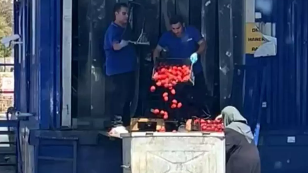 Zincir Market Domatesleri Çöpe Döktü