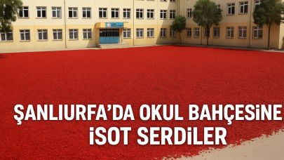 Şanlıurfa’da okul bahçesinde isot kurutulması gündem oldu