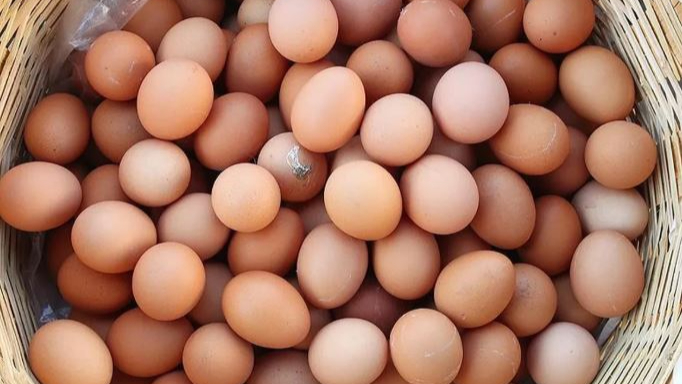 Veliler Dikkat! Yumurta Fiyatları Rekor Üstüne Rekor Kırıyor!