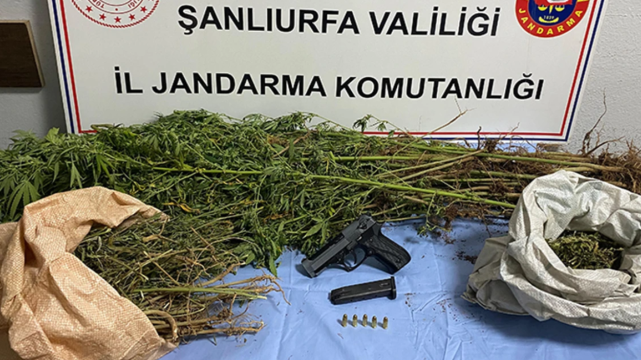 Şanlıurfa’da Uyuşturucu Operasyonu