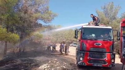 Şanlıurfa’da Orman Yangını Paniğe Yol Açtı