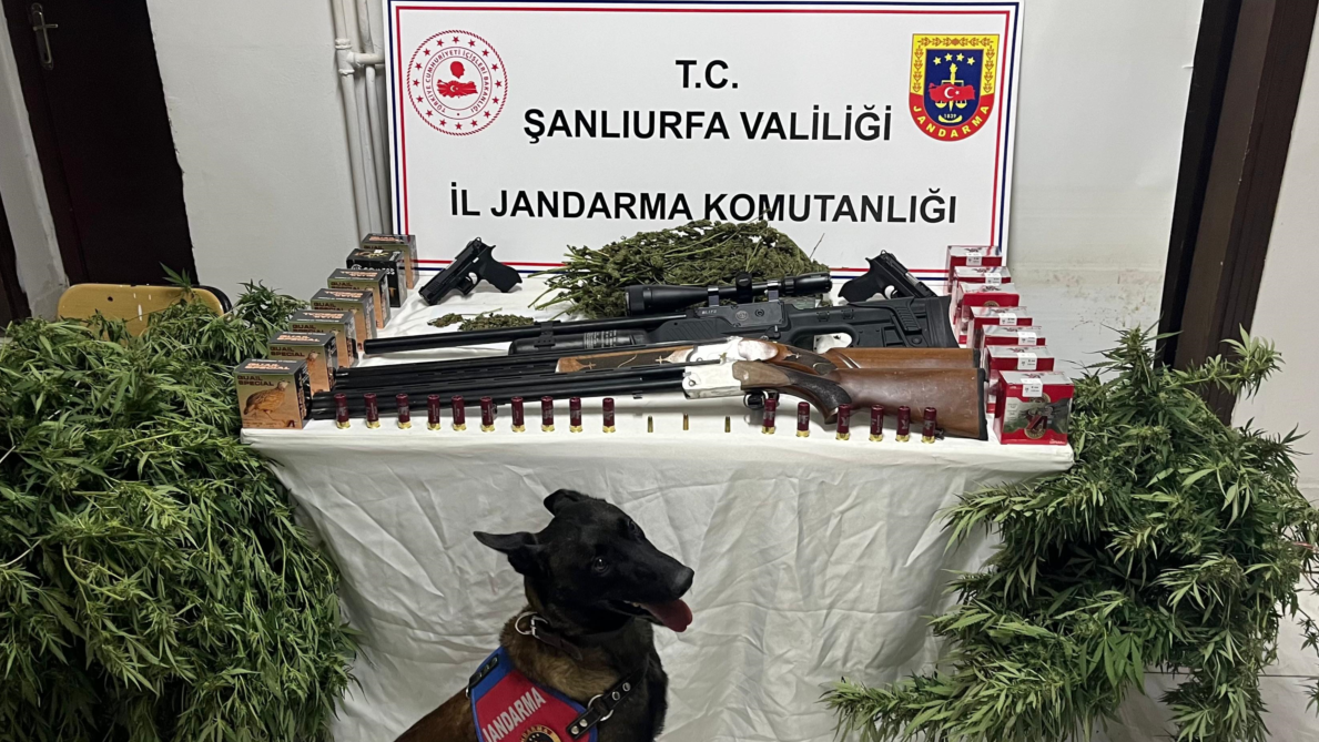 Şanlıurfa’da Narkotik Operasyonu: Uyuşturucu ve Silah Yakalandı