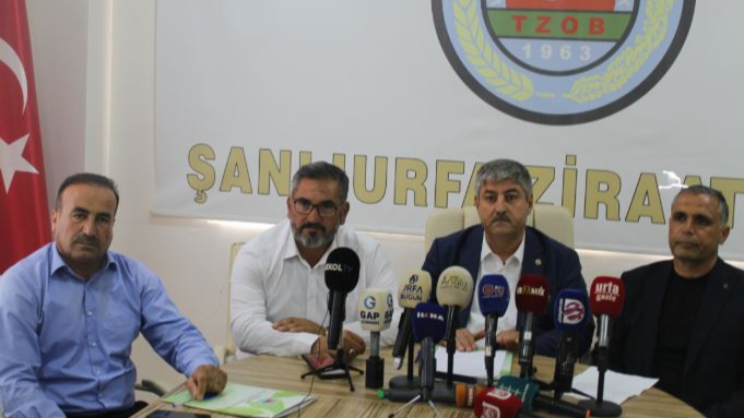 Şanlıurfa’da Fıstık Üreticileri Ayakta!