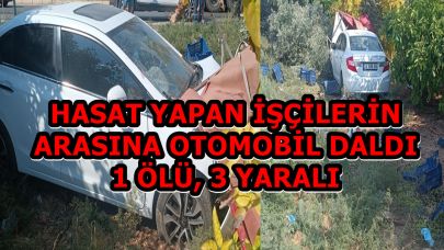 Hasat Yapan İşçilerin Arasına Otomobil Daldı:1 Ölü, 3 Yaralı
