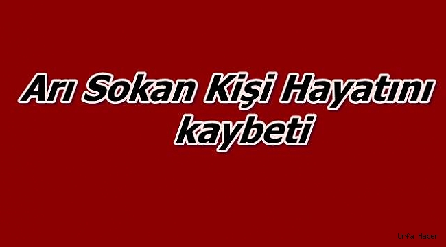 Arı sokan kişi hayatını kaybetti