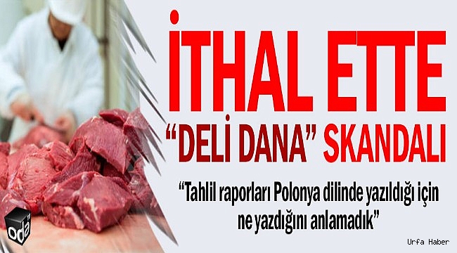 İthal ette "deli dana" skandalı