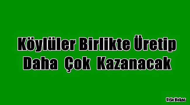 Köylüler birlikte üretip daha çok kazanacak