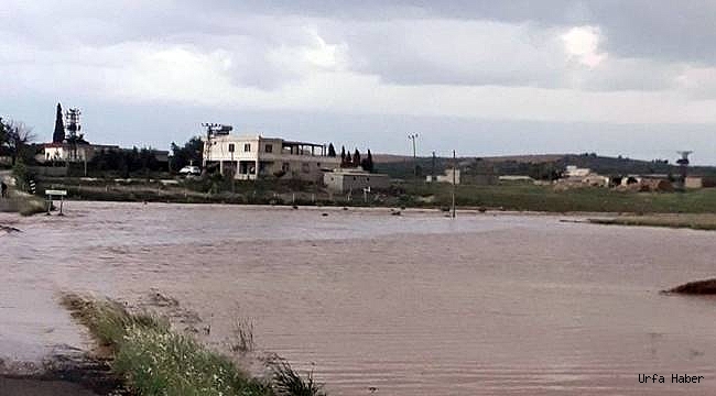 Şanlıurfa'da sele kapılan 13 yaşındaki kız kayboldu