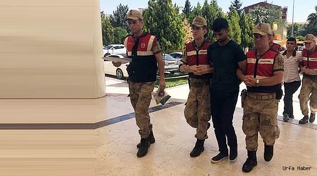 Urfa'da Zehir tüccarları suçüstü yakalandı