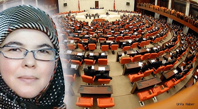 Çiftkaya: Demokratlar yine Mecliste olacak