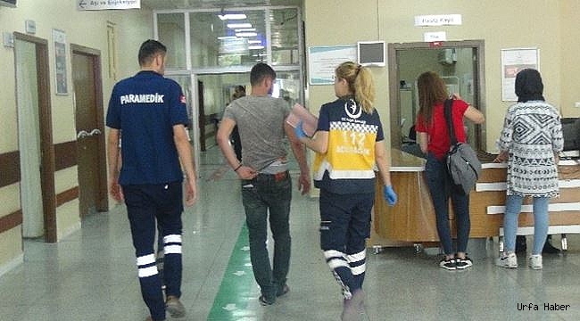 Şanlıurfa’da trafik kazası: 1 yaralı