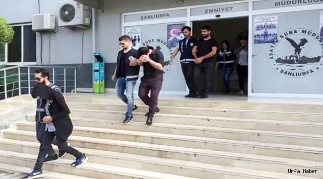 Urfa'da organize hırsızlar çökertildi