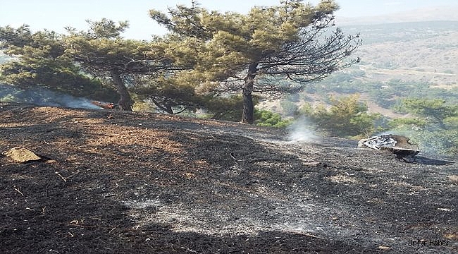 Adıyaman'da orman yangını
