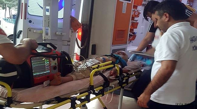 GÜNCELLENDİ: Akçakale Pekmezli'de patlama
