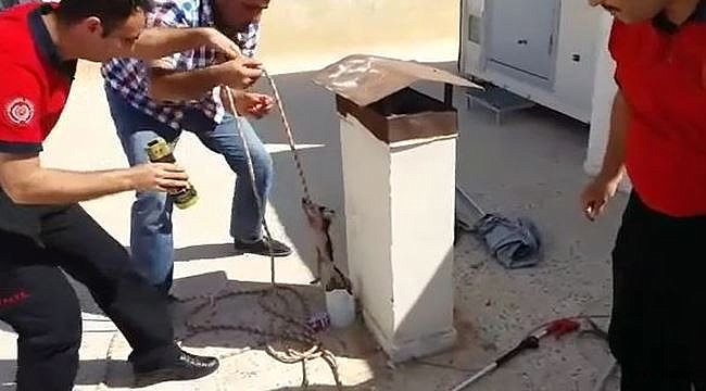 İtfaiyeden yavru kedi operasyonu