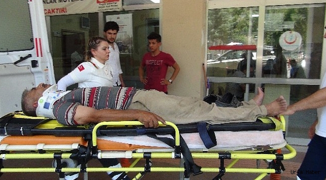 Şanlıurfa’da kamyonet ile otomobil çarpıştı: 3 yaralı