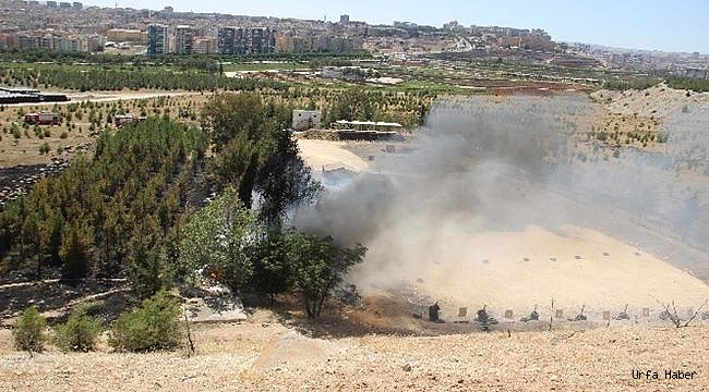 Urfa'da korkutan orman yangını