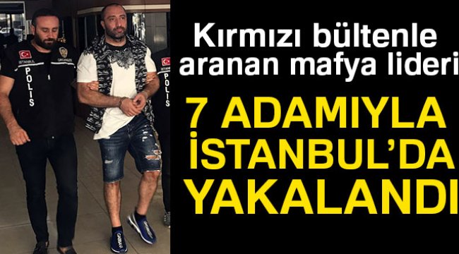 Bulgar mafya lideri İstanbul’da yakalandı