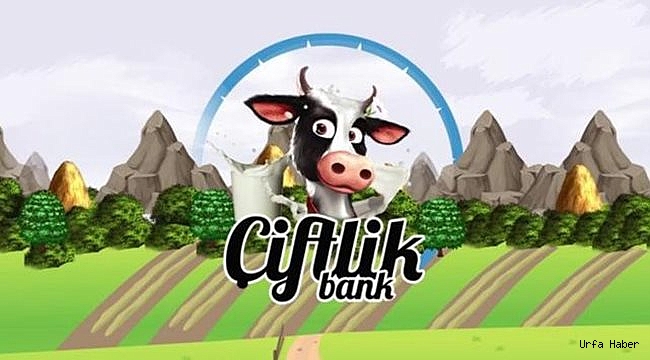 Çiftlik Bank'tan sonra Kaşar Bank!