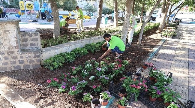 Haliliye'deki parklarda peyzaj çalışmaları